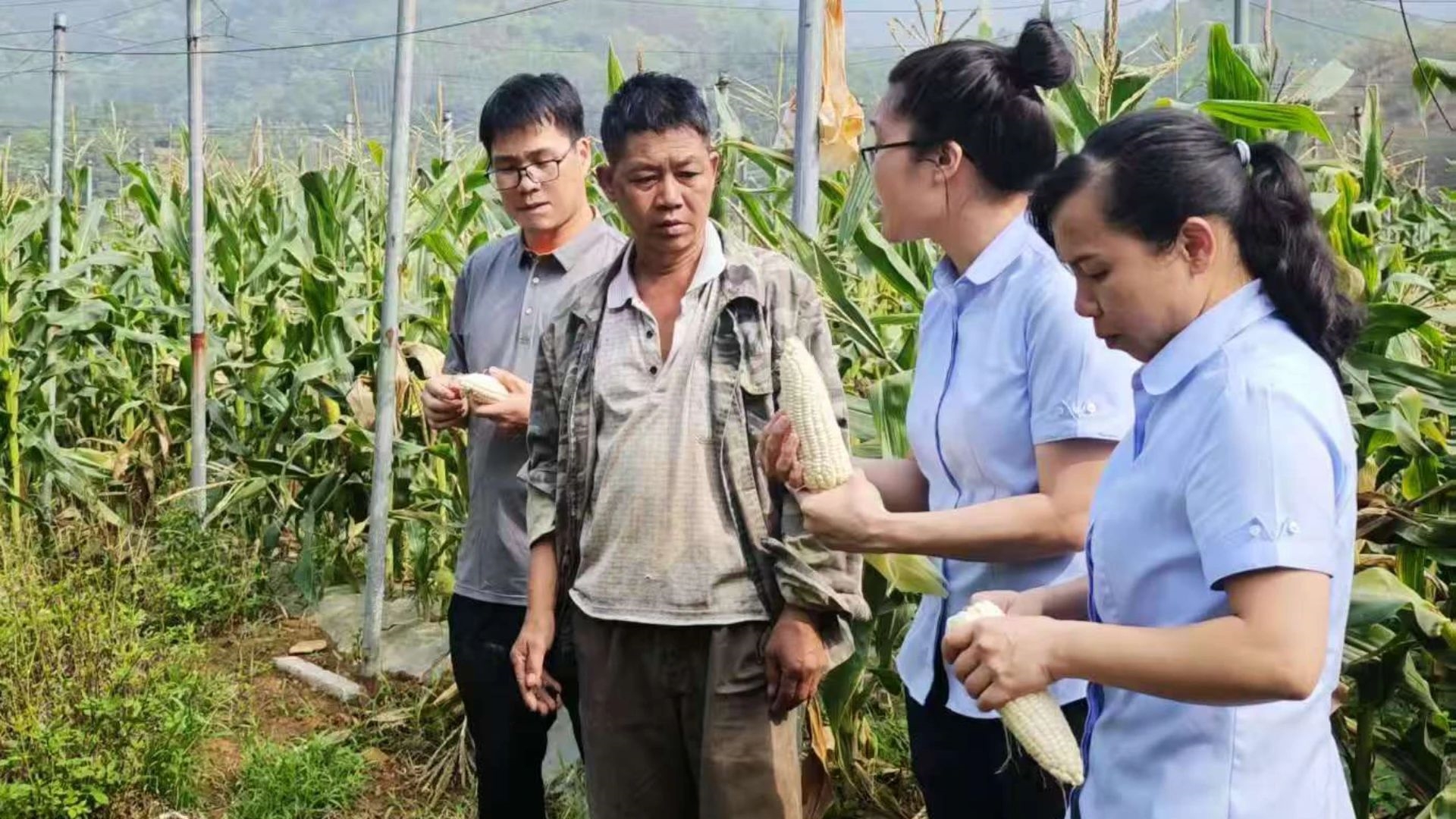 微信圖片_20250617174234